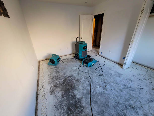 Best Water damage restoration near me  in Long Creek, IL